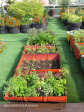 Rooftop Gardens 77 Monty Naiker (Pine) Street (6)