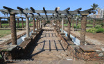 Durban-Beach-sunken-gardens-10