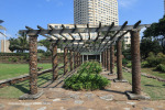 Durban-Beach-sunken-gardens-11