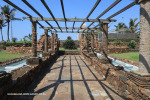 Durban-Beach-sunken-gardens-12
