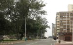playfair-rd-_-trees-park-s29-50-611-e-31-02-082-elev-14m-6