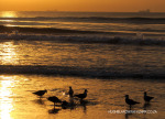 Durban-Beaches-at-dawn-sacrafice-1