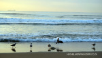 Durban-Beaches-at-dawn-sacrafice-5