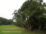 Beachwood Country Club fairways (8)