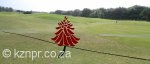 beachwood-country-club-logo-on-glass