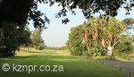 beachwood-country-club-tee-1-par-4-8