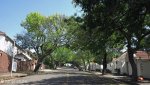 berea-windmill-vause-views-s-29-50-728-e-30-59-730-elev-114m-2