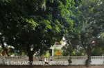 Durban Berea - 183 Cowey Road Portview -