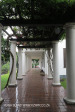 Durban Berea Marriot road Killie Campbell Museum (3)