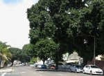 berea-essenwood-views-s-29-50-830-e-30-59-916