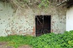 Bluff Whaling Station - Northern Block (21)
