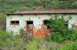 Bluff Whaling Station - Northern Block (24)