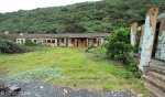 Bluff Whaling Station - Northern Block (26)
