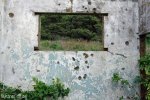 Bluff Whaling Station - Southern  Block (17)