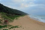 Bluff Whaling Station - Southern  Block (2)