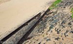 Bluff Whaling Station - Southern  Block (57)