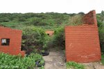 Bluff Whaling Station - Southern  Block (68)