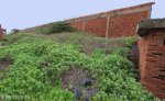 Bluff Whaling Station - Southern  Block (69)