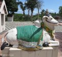 cato-manor-2nd-river-umbilo-shree-ambaavaanar-alayam-1875-890-belair-road-benham-road-s-29-52-35-e-30-57-36-elev-34m-57