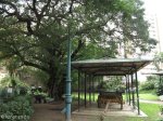 durban-cbd-st-andrews-st-natal-settlers-old-house-museum-s-29-51-780-e-31-01-12
