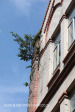 Durban CBD Architectural detail (7)