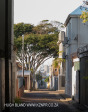 Durban - Greyville Campbell lane