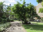 durban-francis-farewell-square-jan-smuts-13
