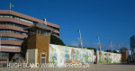 Durban CBD - Old Central Prison Wall Art - Monty Naiker street (24)