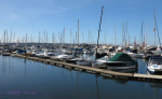 PYC - Yacht Mole (7)