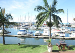 PYC - Yacht mole (8)