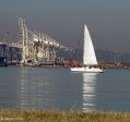 durban-container-terminal-view-s29-51-743-e-31-01-679