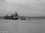 durban-wilsons-wharf-harbour-s29-51-938-e-31-01-068-45