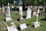 Durban - West Street Cemetery - Grave Slexon & Wenyon Family