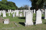 Durban - West Street Cemetery - Grave - Thompson Family -    (3)