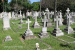 Durban - West Street Cemetery - Grave views (3)