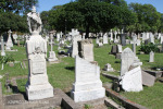 Durban - West Street Cemetery - Graves Augustus Liston and Deeves)