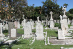 Durban - West Street Cemetery - Graves Nicoll Grifffiths