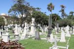 Durban - West Street Cemetery - views .