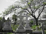 west-st-cemetary-grave-stones-15