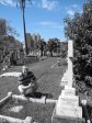 west-st-cemetary-rob-mungavin-familly-daly-grave-amelia-davy-2