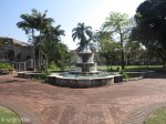 durban-medwood-gardens-grace-amelia-osborn-fountain-dr-pixley-kaseme-st-s29-51-465-e-31-01-2_0