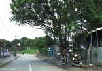 clairwood-50-pine-road-s-29-54-44-e-30-58-2