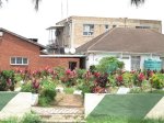 clairwood-dayal-road-cemetary-s-29-55-05-e-30-59-00-elev-12m-2