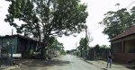 clairwood-sirdar-road-s-29-54-39-e-30-58-53-elev-18m-2