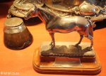 Durban Club -  Trophy Cabinets (5)
