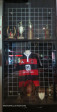 Durban Collegians memorabilia trophies