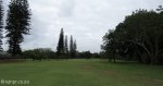 Durban Country Club - Course Photos (6)