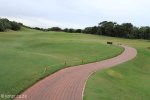 Durban Country Club - Course photos -  Golf 1st tee (6)