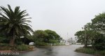 Durban Country Club - Main entrance (6)