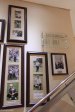 Durban Country Club - Club images -  Stairway photos (6)